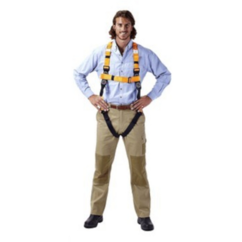 WORKWEAR, SAFETY & CORPORATE CLOTHING SPECIALISTS  - Essential Harness c/w Dorsal Extension Strap